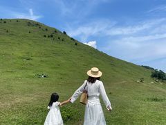 -大姆山草场