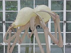 -胶囊画廊
