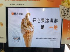 -野人先生现做冰淇淋(北京环宇荟店)