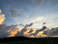 -红树林天天赶海