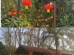 -海南热带野生动植物园