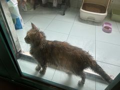 -爱侣宠医·鹦鹉专科·小型哺乳类·异宠专科(灵石路店)