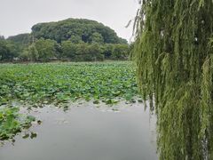-苏州上方山国家森林公园