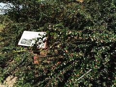 -北京西山国家森林公园