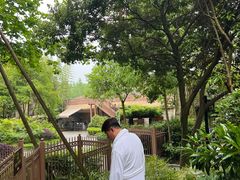 -青城道汤池