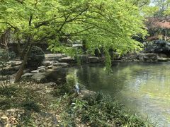 -中国茶叶博物馆(双峰馆区)
