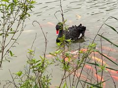 -春晖园度假酒店温泉