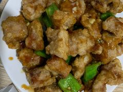 -金鹏鱼肉馆