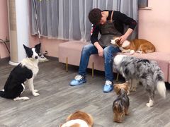 -浣熊柯尔鸭土拨鼠·电玩咖