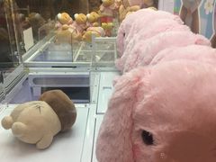 -LLJ夹机占(清河万象汇店)
