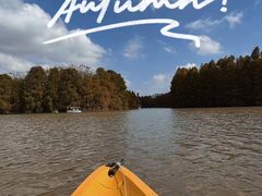 -上海海湾国家森林公园