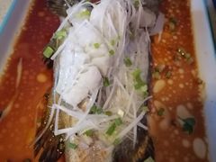 清蒸石斑鱼-望海观澜海景音乐餐吧(帆船基地店)