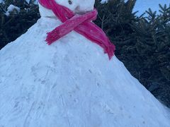 -伏尔加庄园米尼阿久尔餐厅