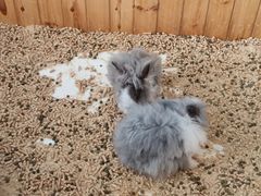 -海合安武汉极地海洋公园