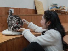 -有猫主题·治愈系猫咖(曾厝垵店)