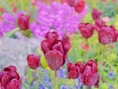 -上海浦江郊野公园·1号停车场