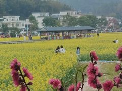 -红山村