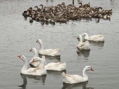 -紫阳家宴(源深店)