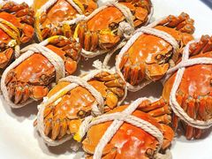 -杨氏青龙虾·羊肉季(金盛路总店)