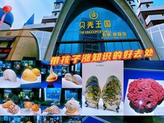 -贝壳王国博物馆