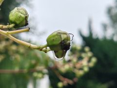 -济南国际园博园