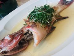 清蒸东星斑-伯衡55·吉品轩(乌鲁木齐南路店)