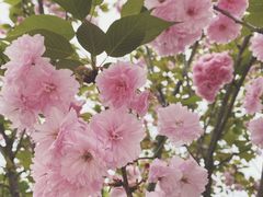 -白鹭湾湿地公园