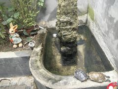 -后海16号·北京私房菜