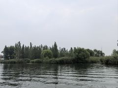 -白洋淀景区