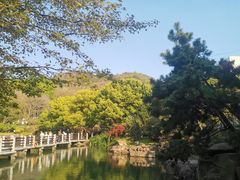 -白马涧龙池景区