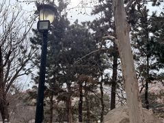 -悦海公园