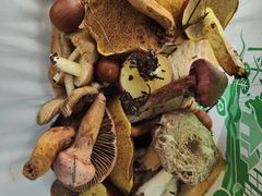 -北京宽沟会议中心