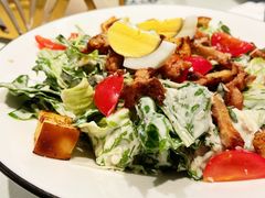 -伊斯坦布尔土耳其清真咖啡餐厅