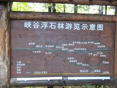 -峡谷浮石林景区