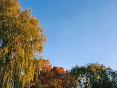 -北京石刻艺术博物馆(五塔寺)