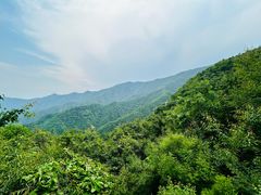 -大觉寺-停车场