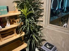 -施奈儿.洗头頭療.按摩SPA.采耳(上梅林店)