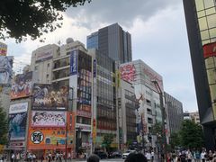 -秋叶原电器街