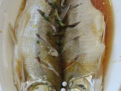 -蟹天蟹地农家菜·阳澄湖大闸蟹(浅水湾店)