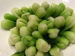 -老房子金沙元年川菜食府·花园餐厅(金沙店)
