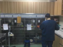 -康乐宝动物医院