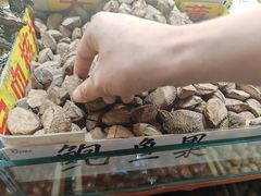 -新疆国际大巴扎