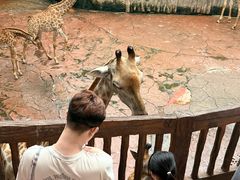 -长鹿旅游休博园
