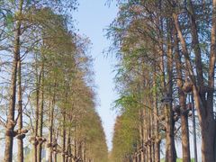 -东湖生态旅游风景区