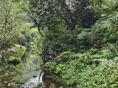 -夏霖九天银瀑风景区