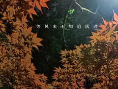 -上海市浦东外事服务学校