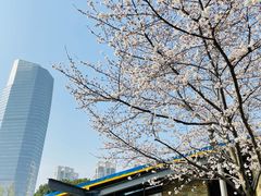 -玉山公园