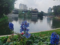 -荔湾湖公园