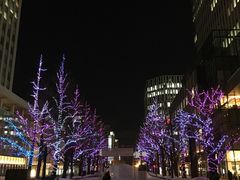 -北海道厅旧本厅舍(旧本庁舎)