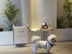 -奈诺甜品·生日蛋糕·下午茶(古城店)